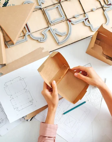LE PACKAGING EN DÉVELOPPEMENT