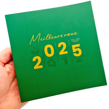 MEILLEURS VŒUX 2025
